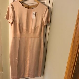 Stunning Ann Taylor Nude Cocktail Dress NWT